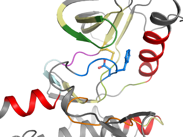 The orthosteric binding pocket