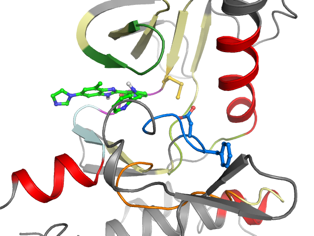 The orthosteric binding pocket