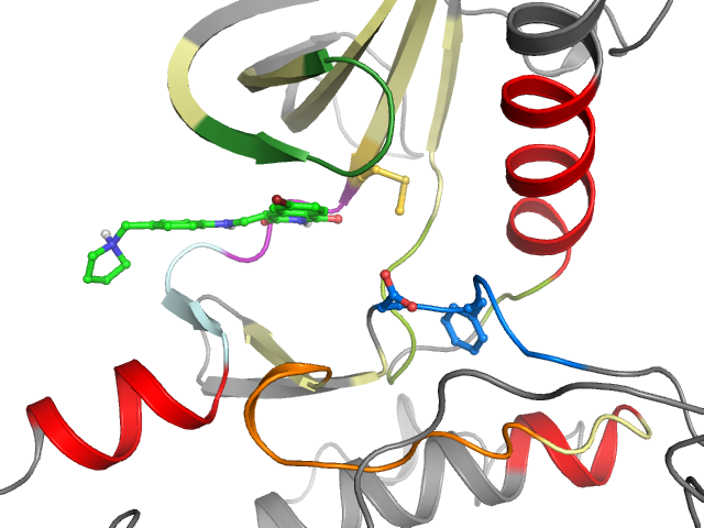 The orthosteric binding pocket