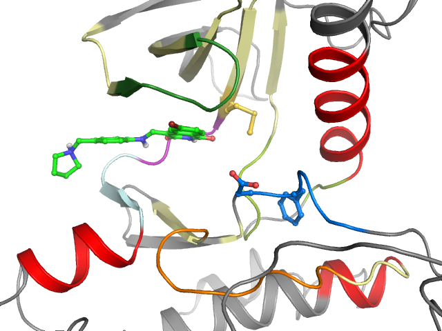 The orthosteric binding pocket