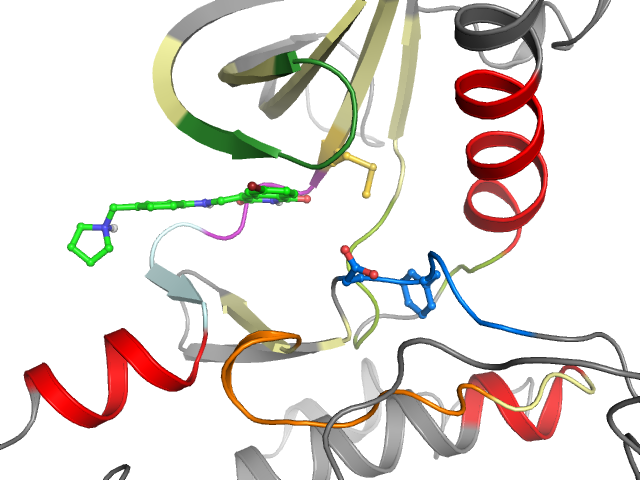 The orthosteric binding pocket