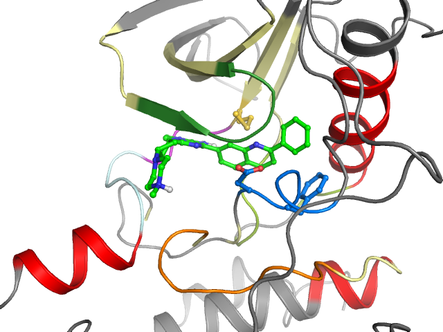 The orthosteric binding pocket