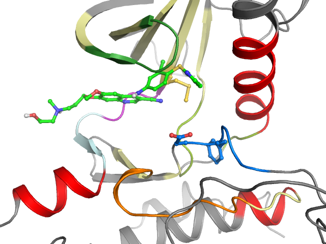 The orthosteric binding pocket