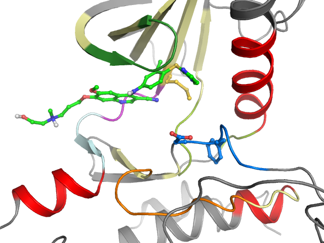 The orthosteric binding pocket