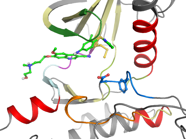 The orthosteric binding pocket