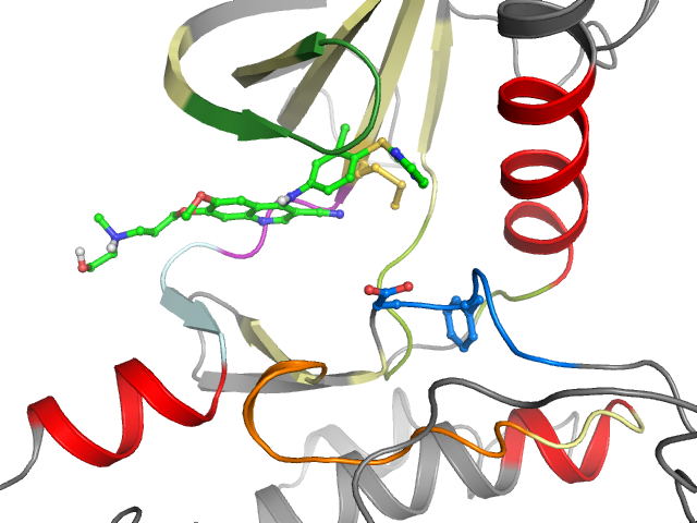 The orthosteric binding pocket