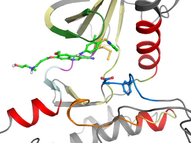 The orthosteric binding pocket
