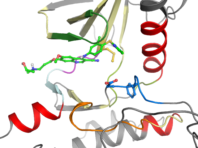 The orthosteric binding pocket