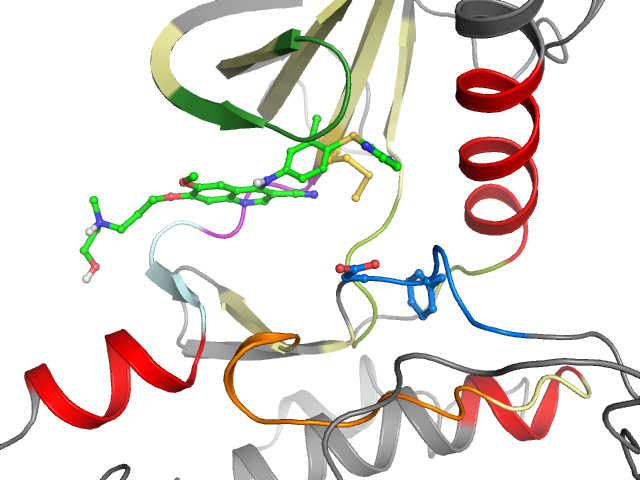 The orthosteric binding pocket