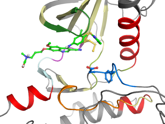 The orthosteric binding pocket