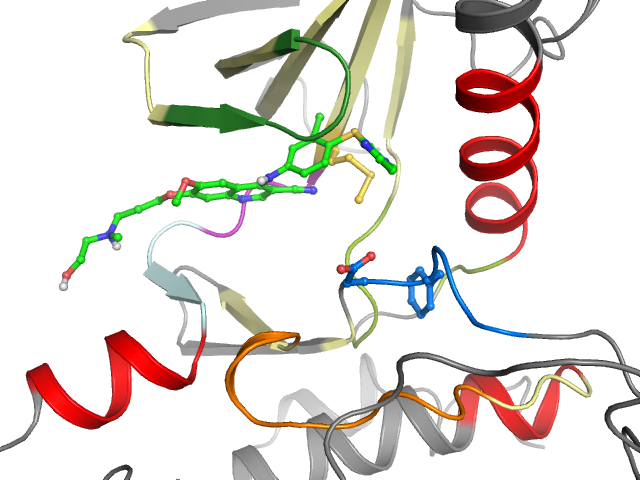 The orthosteric binding pocket