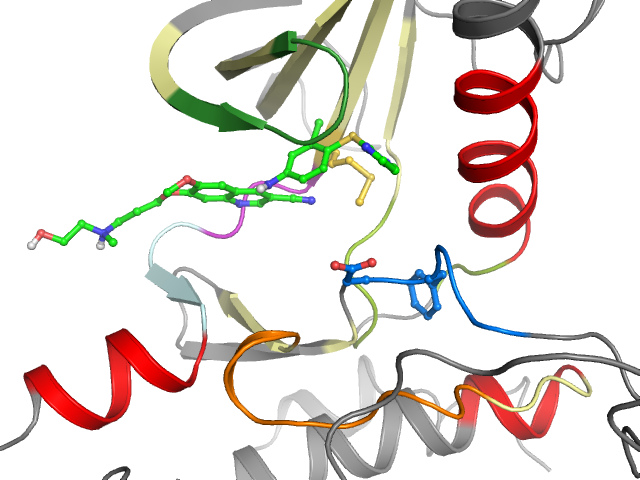The orthosteric binding pocket