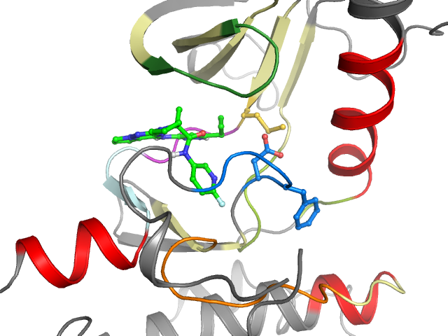 The orthosteric binding pocket