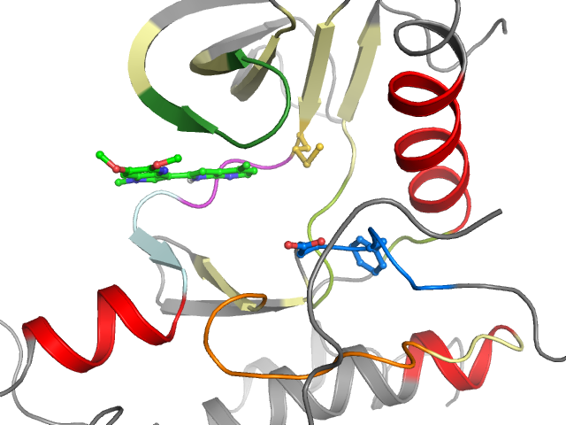 The orthosteric binding pocket