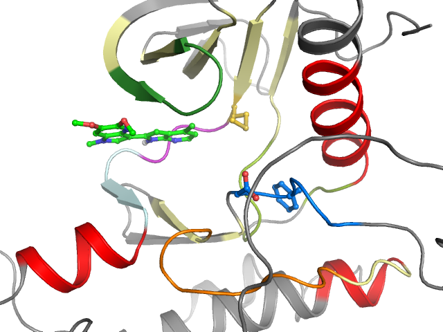 The orthosteric binding pocket