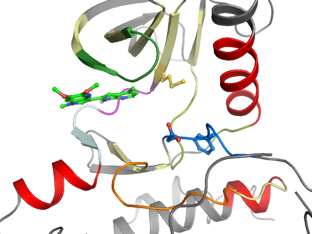 The orthosteric binding pocket