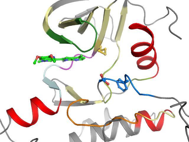 The orthosteric binding pocket