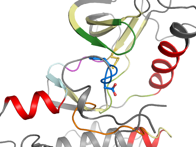 The orthosteric binding pocket