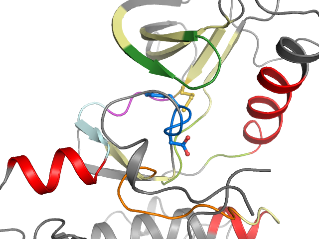 The orthosteric binding pocket