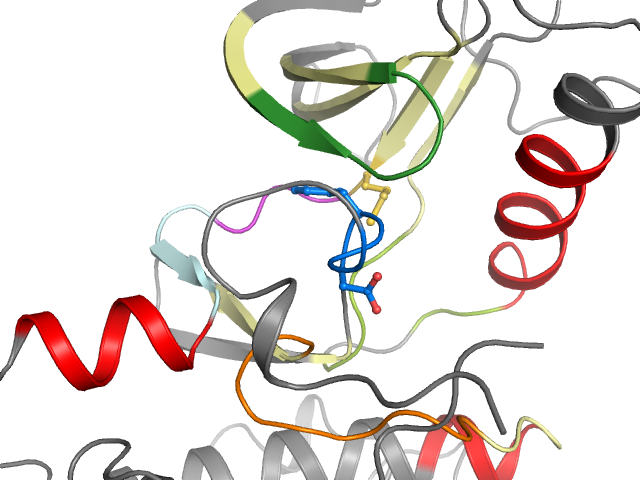 The orthosteric binding pocket