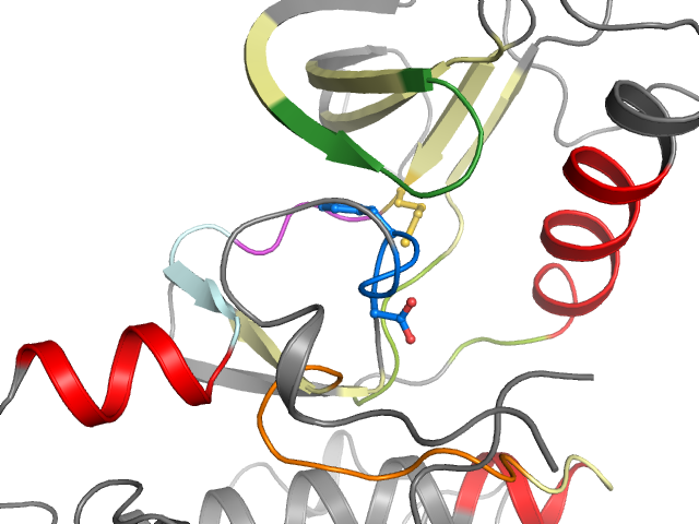 The orthosteric binding pocket