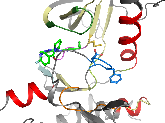 The orthosteric binding pocket