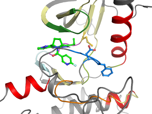 The orthosteric binding pocket