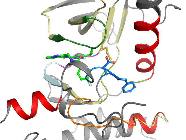The orthosteric binding pocket