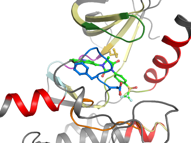 The orthosteric binding pocket