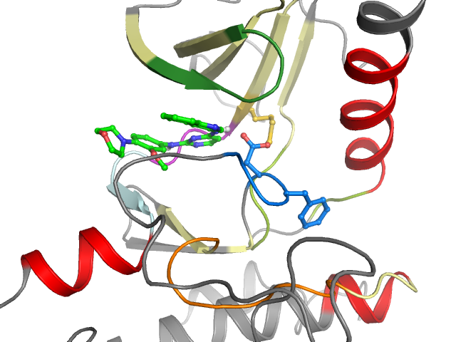 The orthosteric binding pocket