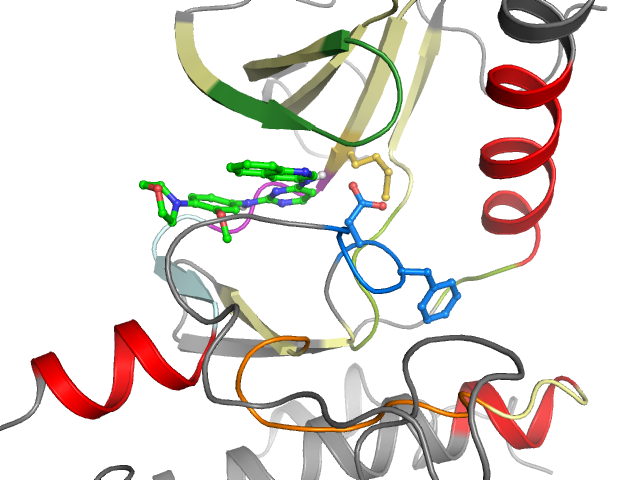 The orthosteric binding pocket