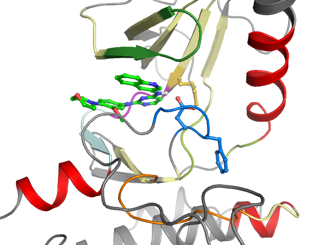 The orthosteric binding pocket