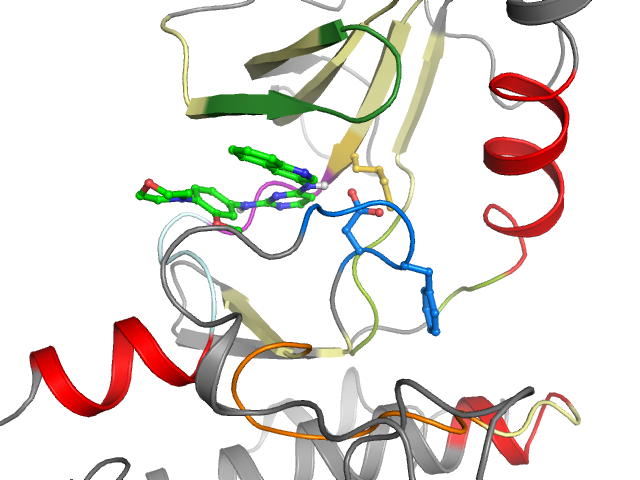 The orthosteric binding pocket