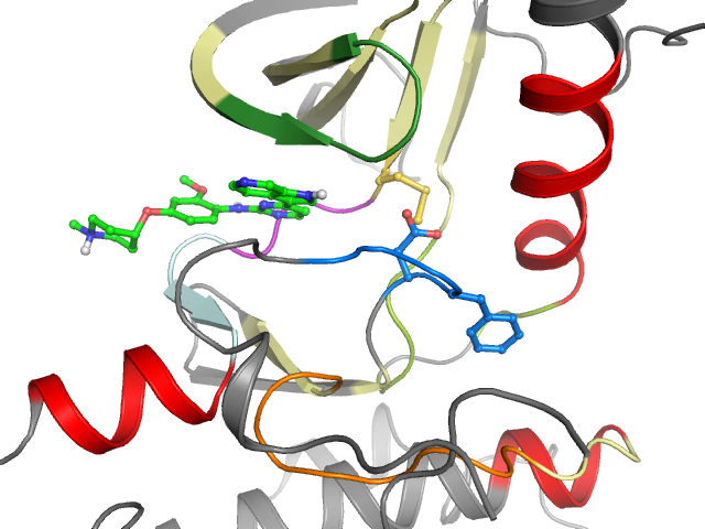 The orthosteric binding pocket