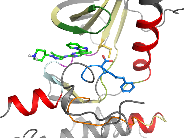 The orthosteric binding pocket