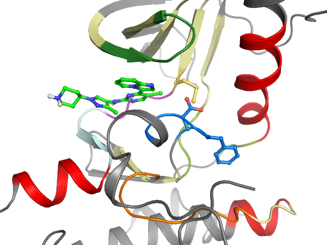The orthosteric binding pocket