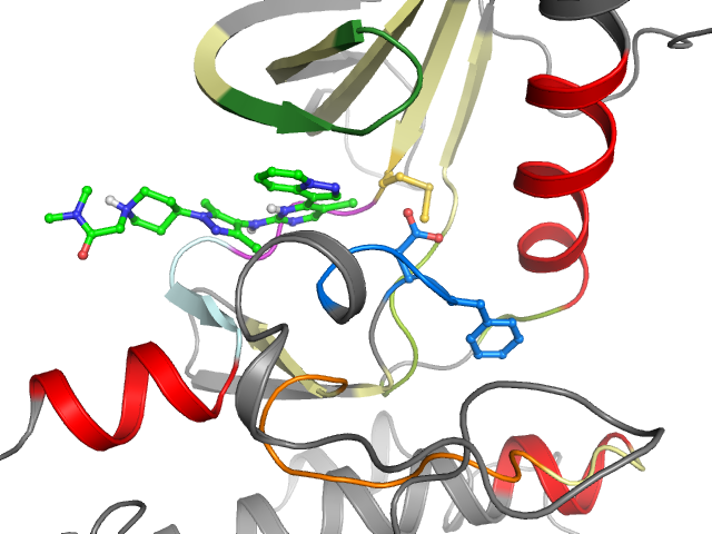 The orthosteric binding pocket