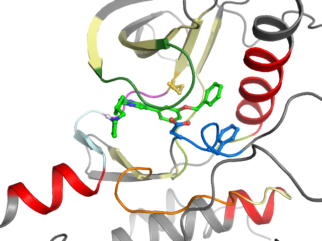 The orthosteric binding pocket