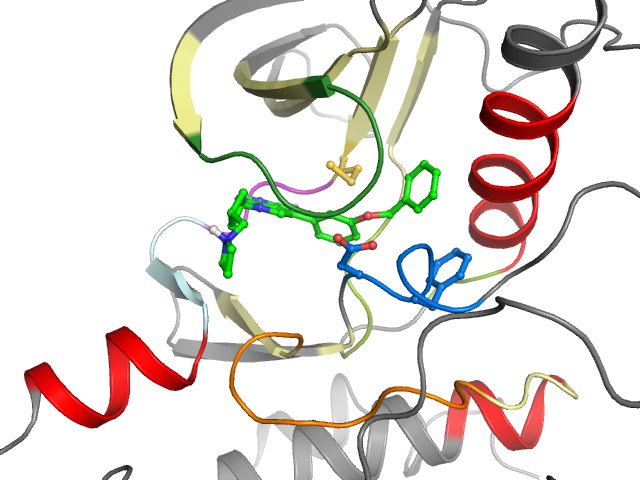 The orthosteric binding pocket