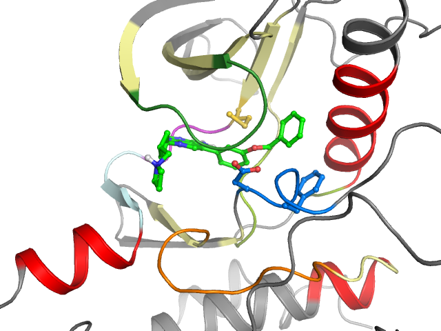 The orthosteric binding pocket