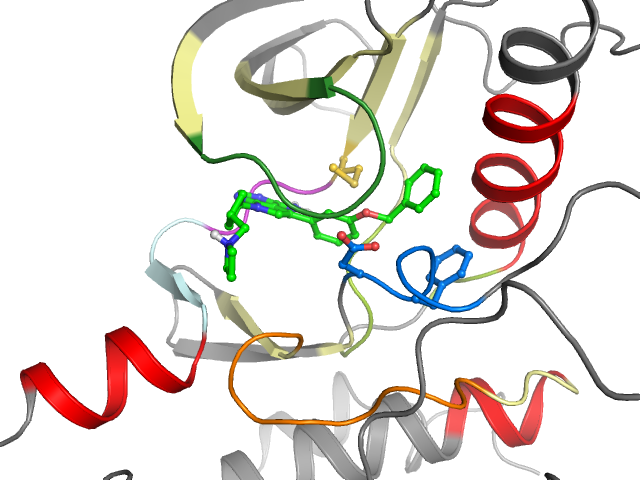 The orthosteric binding pocket