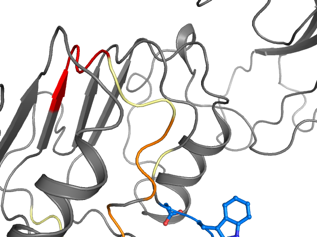 The orthosteric binding pocket