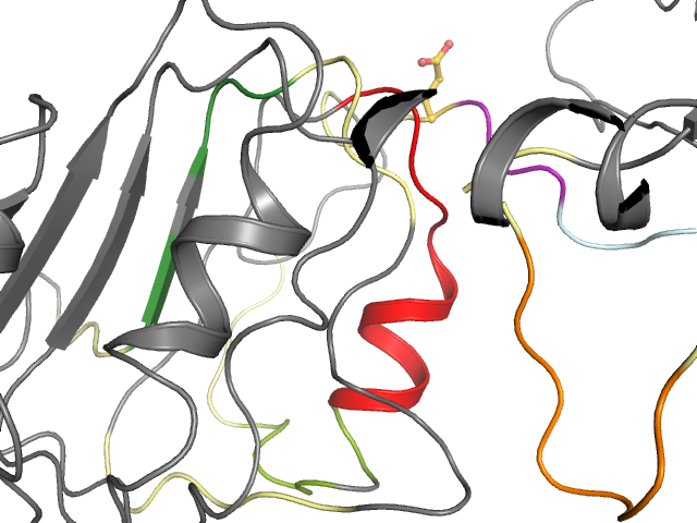 The orthosteric binding pocket