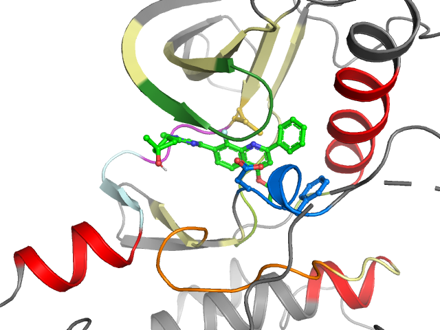 The orthosteric binding pocket