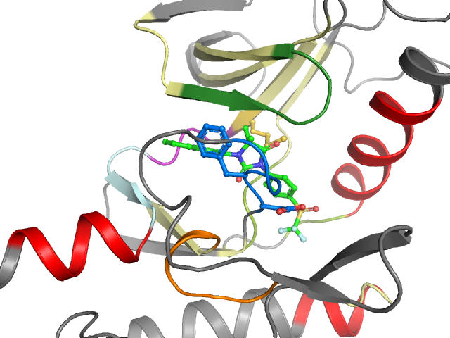 The orthosteric binding pocket