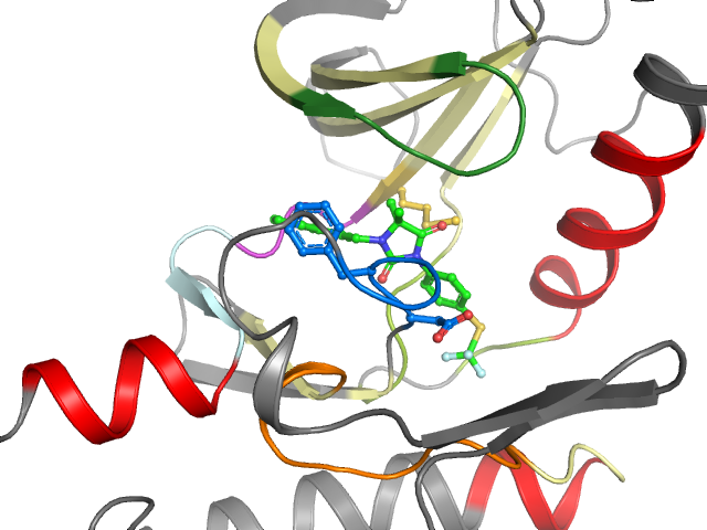 The orthosteric binding pocket