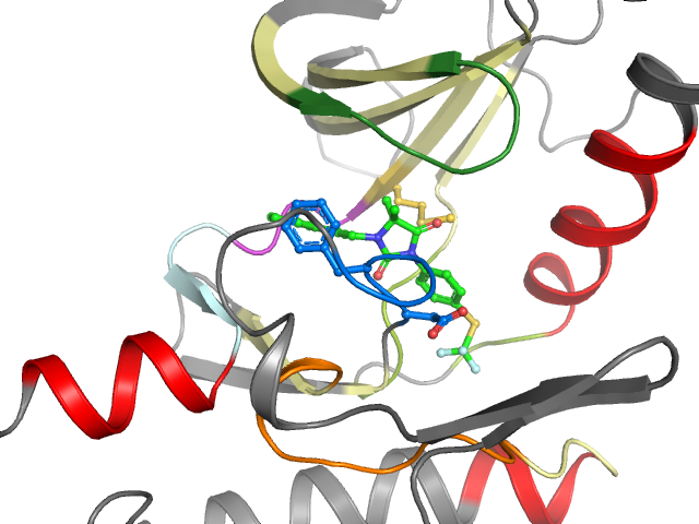 The orthosteric binding pocket