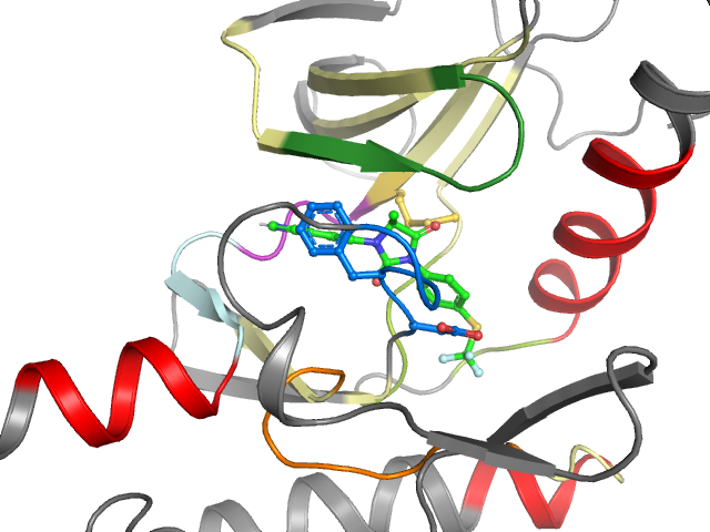 The orthosteric binding pocket
