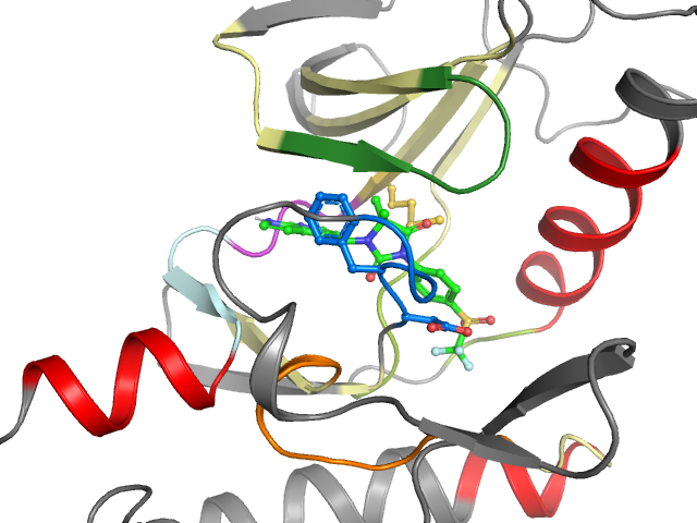 The orthosteric binding pocket