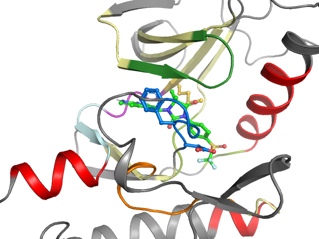 The orthosteric binding pocket